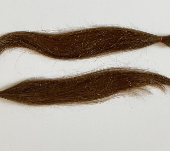 Lot De Véritables Cheveux Anciens (humains) - Châtains, Avec But (chignon) - Bel état - Occasion Vintage