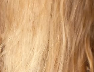 Vente cheveux blonds vénitiens