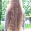Magnifiques cheveux blonds/châtains, longs (44cm) et épais (~ 9/10cm)