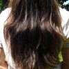 Cheveux 31cm