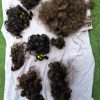 Lot cheveux