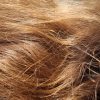 Cheveux naturels (fille, 20 ans) 57cm et +